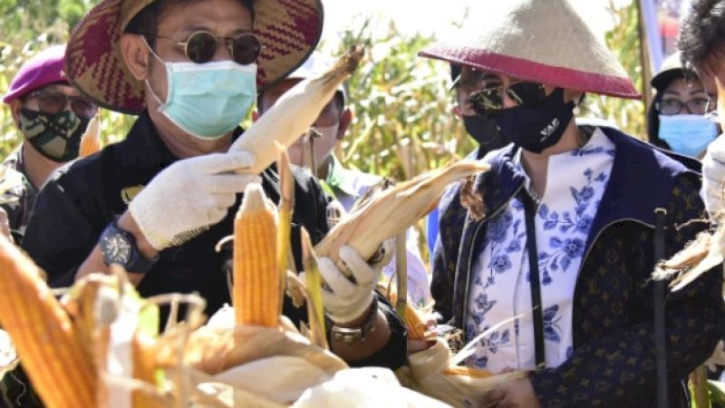 Mentan SYL pada kegiatan tanam sekaligus panen integrasi kedelai-kelapa dan panen jagung di Desa Tontalete, Kecamatan Kema, Kabupaten Minahasa Utara (Minut), Minggu (30/8/2020).