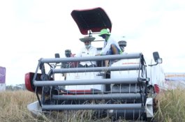 BPS: Agustus 2020, NTP dan NTUP Naik Signifikan