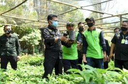 Mentan Syahrul Dorong Kabupaten Malang Jadi Penghasil Bibit Alpukat Berkualitas