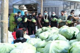 Dari Jatim, Mentan Syahrul Lepas Ekspor Kubis ke Taiwan