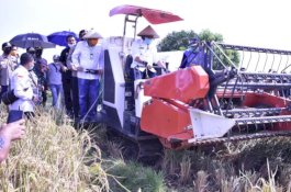 Pengembangan Kawasan Korporasi Pertanian Semakin Meluas, Kini Direplikasi di 14 Kabupaten