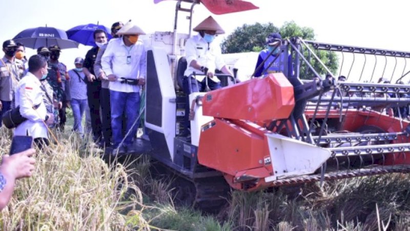 Pengembangan Kawasan Korporasi Pertanian Semakin Meluas, Kini Direplikasi di 14 Kabupaten