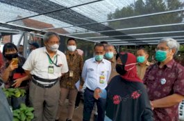 Jaga Ketahanan Pangan, Kantor Staf Presiden Dukung Pengembangan P2L Kementan