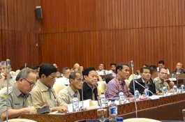Komisi IV DPR RI Apresiasi Program Jangka Panjang Kementan