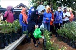 Kebun Idamanta' di Bakung Bukti Nyata Warga Dukung Danny-Fatma