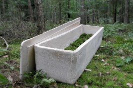 Pria Belanda Ini Bisa 