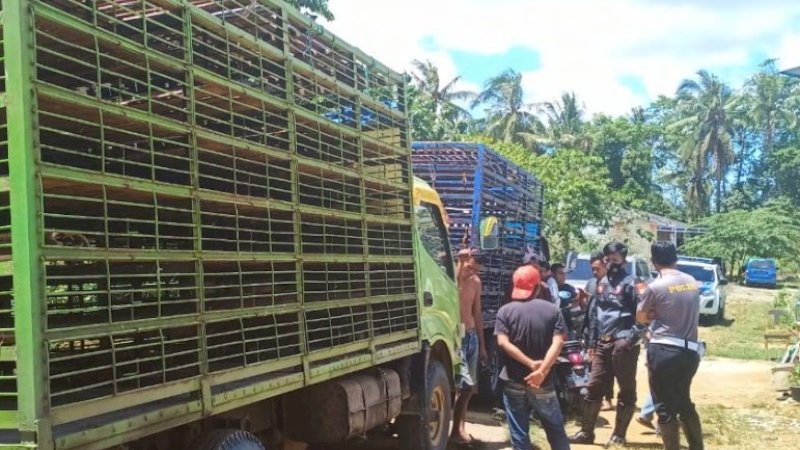 Tiga Warga Tertabrak Truk saat Buka Pintu Mobil di Wajo, Satu Tewas Dua Kritis