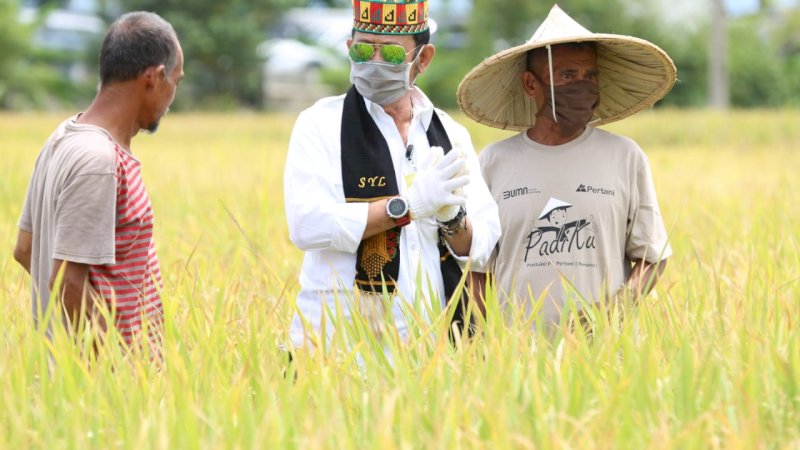 Panen Padi di Aceh Besar, Mentan SYL Berterima Kasih kepada Petani dan PPL