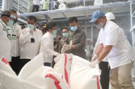 Kementan Prediksi Produksi Gula Naik Tahun Ini