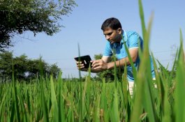 Inilah Teknologi Blockchain yang Bikin Petani Jadi Lebih Berkelas