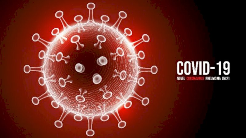 Ahli: Indonesia Belum Masuk Puncak Pandemi Covid-19