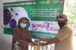 Obat Covid-19 Semua Ada di Pucak, Dosen Farmasi UMI Ajak Warga Tanam di Pekarangan