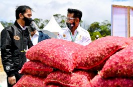 Gantikan Luhut, Mentan SYL Ditunjuk Jadi Menteri Kelautan dan Perikanan Ad Interim