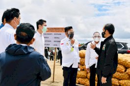 Korporasi dan Food Estate untuk Penguatan Daya Saing Tanaman Pangan