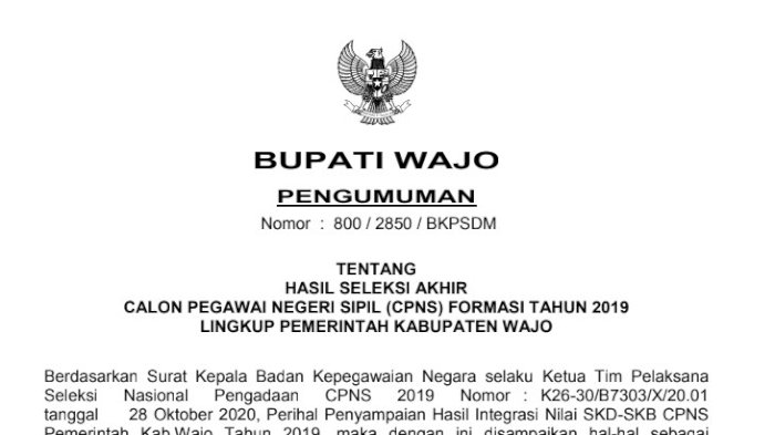 104 Peserta Seleksi Cpns Wajo Formasi 2019 Dinyatakan Lulus Lihat Di Sini Daftar Lengkapnya