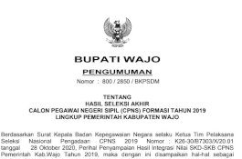 104 Peserta Seleksi CPNS Wajo Formasi 2019 Dinyatakan Lulus, Lihat di Sini Daftar Lengkapnya