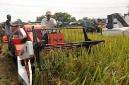 Kementan, Kemenko Perekonomian, dan Kemendes PDTT Bersama Kembangkan Konsep Korporasi Pertanian