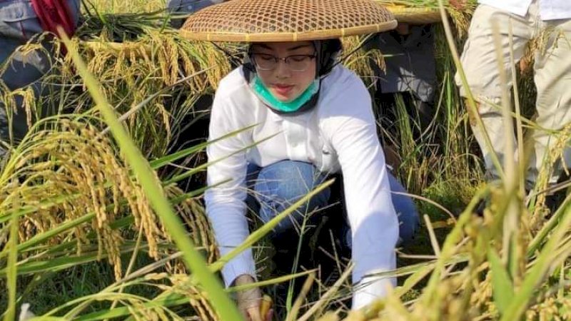 Luas Tanam Padi Meningkat, Kementan Berikan Penghargaan untuk Purwakarta