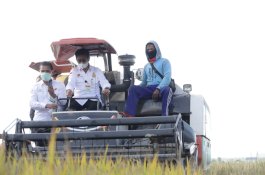 Indef Apresiasi Sektor Pertanian Tetap Tumbuh di Kuartal III