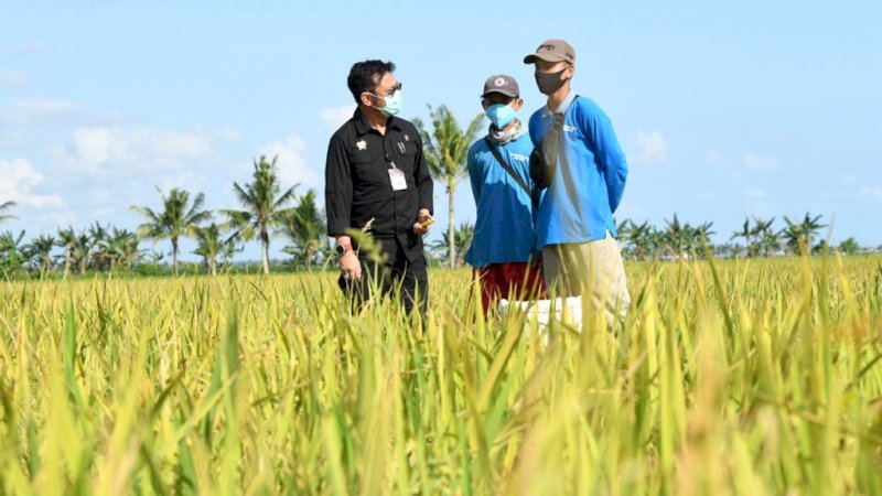 Menteri Pertanian, Syahrul Yasin Limpo berinteraksi dengan petani.