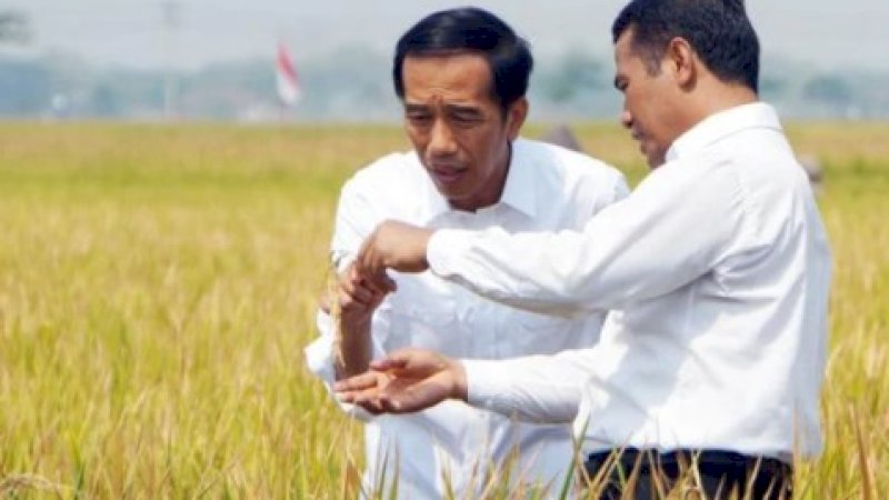Jokowi Akan Beri Tanda Kehormatan kepada Mantan Mentan, Pengamat: Bukti Prestasi Andi Amran Sulaiman