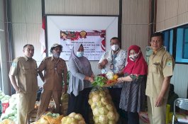 Peduli Masyarakat Terdampak Covid-19, Kementan Serap Produk Hortikultura Langsung dari Petani