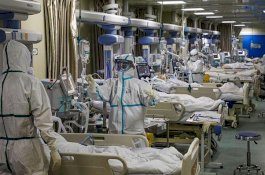 505.836 Orang Sembuh Covid-19 di Indonesia