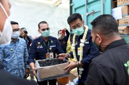 Peringatan Hari Perkebunan Ke-63, Mentan: Saya Minta Perkebunan Jadi Perhatian Bersama