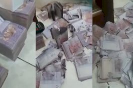 Apes, Uang Nenek Rp1 Miliar di Celengan Dimakan Rayap