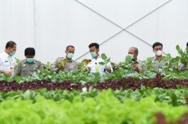 Kementan: Smart Green House Tempat Semua Orang Mengenal Ilmu Pertanian Modern