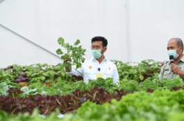 Agroeduwisata Kementan; Topang Ekonomi Bangsa, Sejahterakan Petani