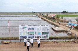 Berlelah-lelah demi Anak-Cucu, Pengembangan Food Estate Kalimantan Tengah Sentuh Solidaritas Masyarakat