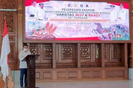 Dulu Impor dari Thailand, Kini Kementan Lepas Ekspor Benih Jagung Hibrida ke Negeri Gajah Putih