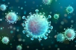 Asal-usul Virus Corona Mungkin Tidak Akan Pernah Teridentifikasi