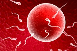 Mahasiswi di China Nekat Jual Sel Telurnya untuk Bayar Utang Ratusan Juta