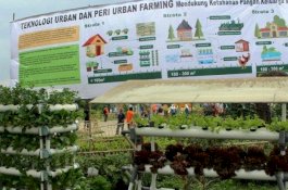 CSR Pertamina Hulu Mahakam Adopsi Model Pekarangan Pangan Lestari
