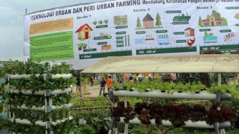 CSR Pertamina Hulu Mahakam Adopsi Model Pekarangan Pangan Lestari