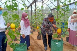 Yuk ke Agroeduwisata Kebun Bibit Cilangkap, Destinasi Wisata Pertanian Ibu Kota