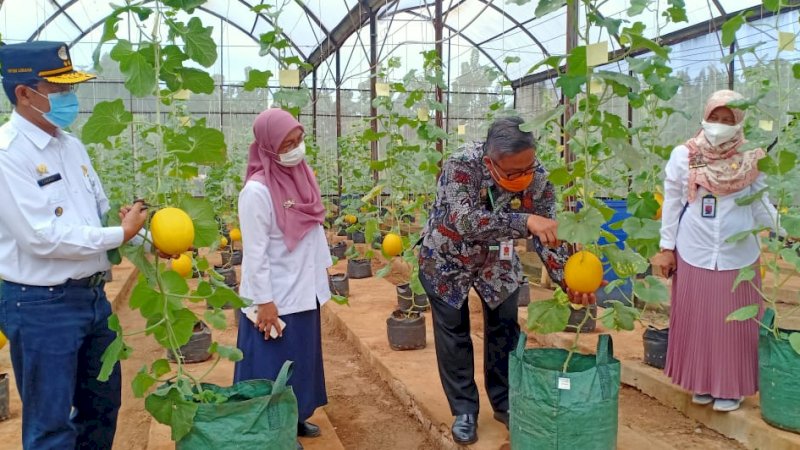 Yuk ke Agroeduwisata Kebun Bibit Cilangkap, Destinasi Wisata Pertanian Ibu Kota