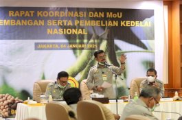Kementan Segera Tingkatkan Produksi Kedelai Lokal