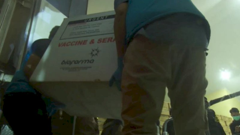 Vaksin COVID-19 merek Sinovac saat tiba Bandara Internasional Sultan Hasanuddin Makassar, Selasa (5/1/2021). 