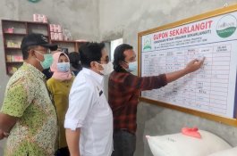Proyek Upland di Magelang Difokuskan untuk Padi Organik