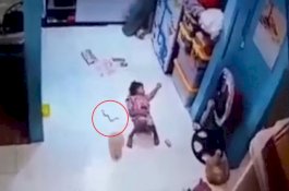 Detik-detik Seekor Ular Masuk ke Dalam Celana Gadis Ini Saat Tertidur