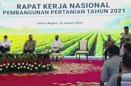 Jokowi Minta Pembangunan Pertanian Jadi Perhatian Bersama, Mentan Punya CB 1-5