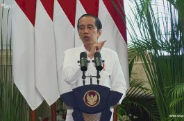 Presiden Jokowi Dorong Pembangunan Pertanian dalam Skala Luas