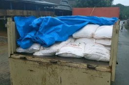 Pupuk Subsidi Langka di Jeneponto, Petani Terancam Merugi dan Gagal Penen