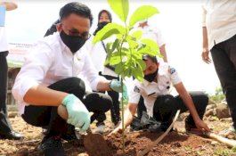 Suguhkan Pemandangan yang Indah, Campagaloe Bakal Jadi Wisata Buah