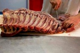 Ditemukan Potongan Penis Tercecer di Halaman Rumah Seorang Pria, Diduga Kanibal