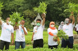 Launching AEW Ragunan, Mentan SYL: Hadapi Pandemi Harus Kreatif dan Produktif