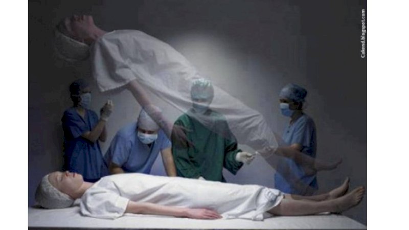 Ilustrasi eksperimen hidup setelah mati. | psych2go.net